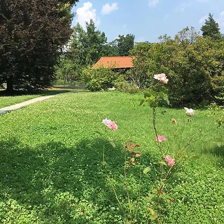Holiday home Sweet Laveno-Mombello